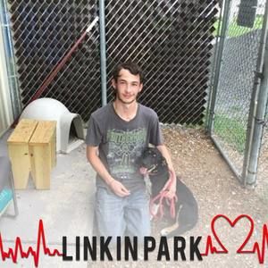 Meet your Posher, Luke